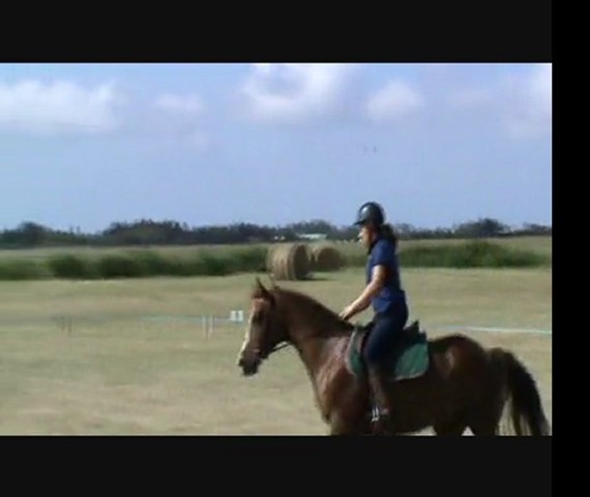 stage rodolphe scherer reprise marie laure