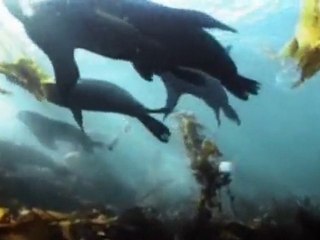 Tecnología y la Naturaleza