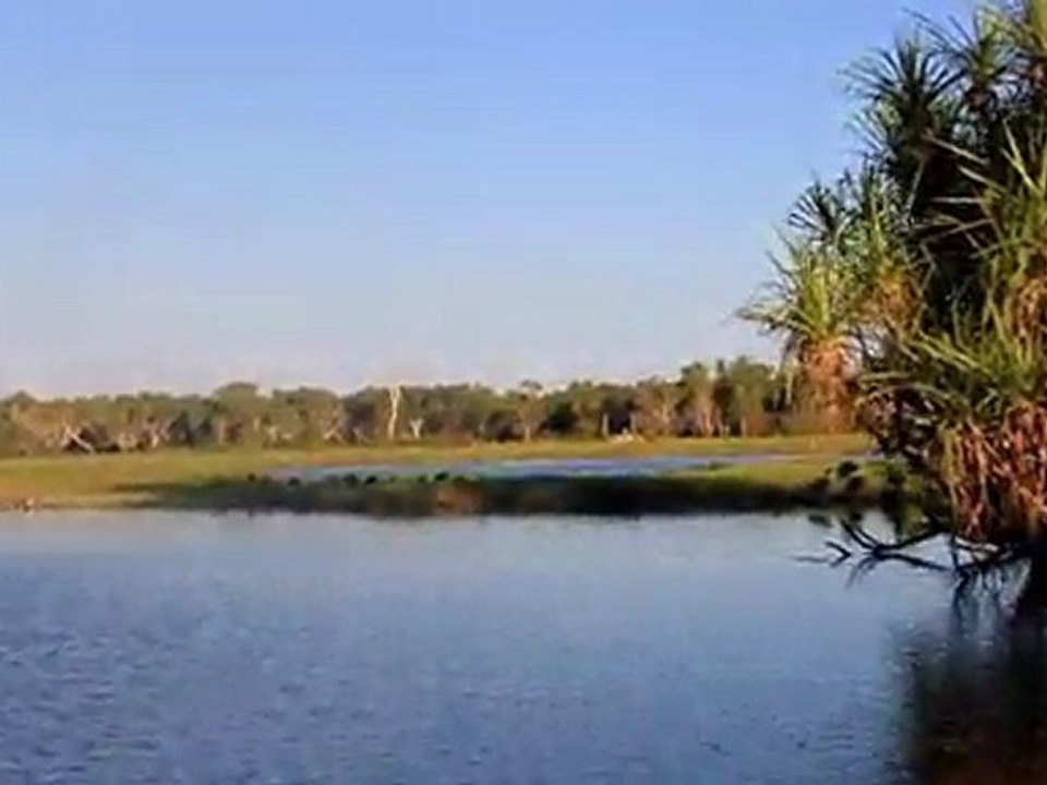 yellow water