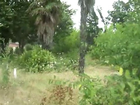 ETİBANK YALOVA TESİSLERİNİN İÇLER ACISI GÖRÜNTÜLERİ