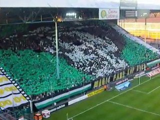 Nous Sommes l'ASSE