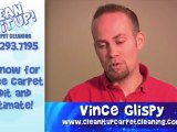 Carpet Cleaning Salt Lake City - How do I clean dog vomit?