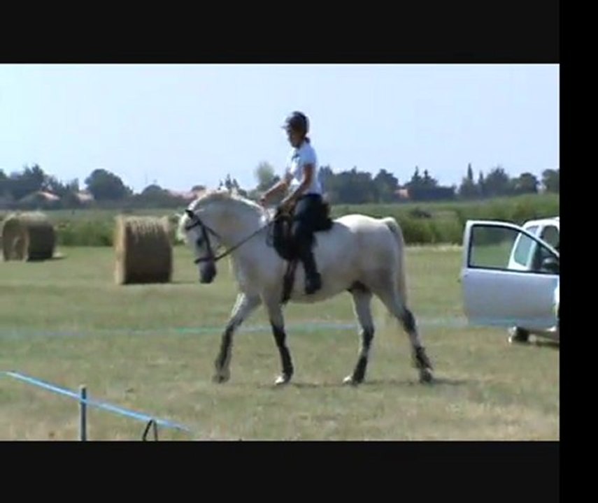 stage rodolphe scherer reprise virginie