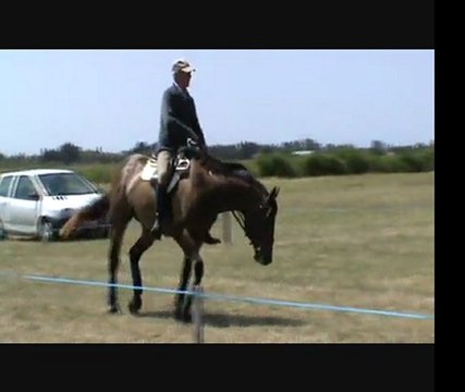 stage rodolphe scherer silhouette