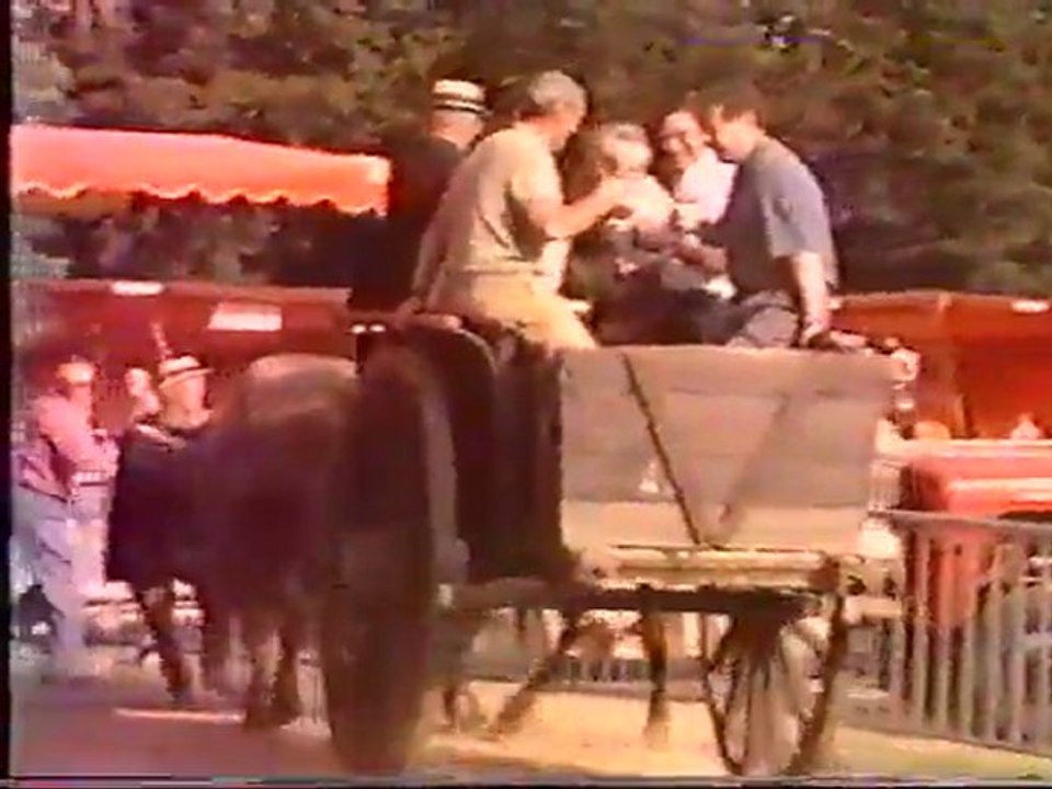 Fête de l'Oie et Battage à l'ancienne - Comice agricole de Mézières sur Couesnon (35) partie 4