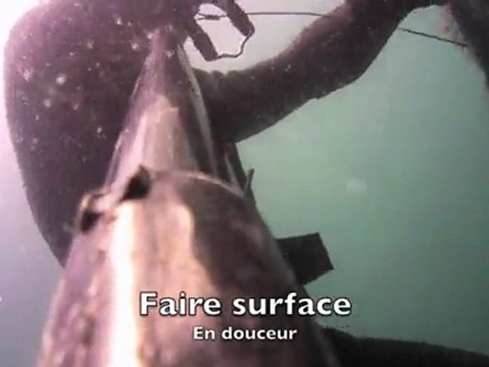 chasse sous marine Lorient Bretagne Denoal
