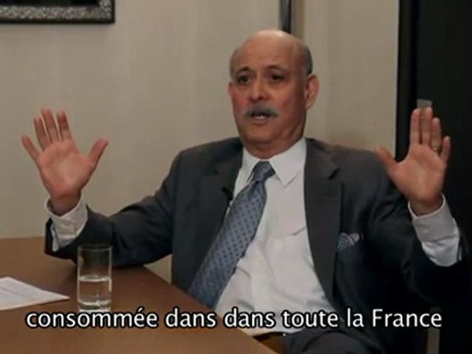 Jeremy Rifkin   Le nucléaire est mort  même en France