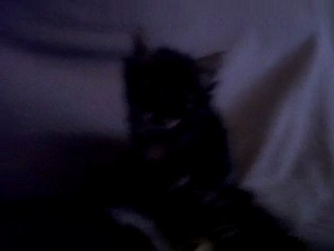 VID 00000-20110530-2044