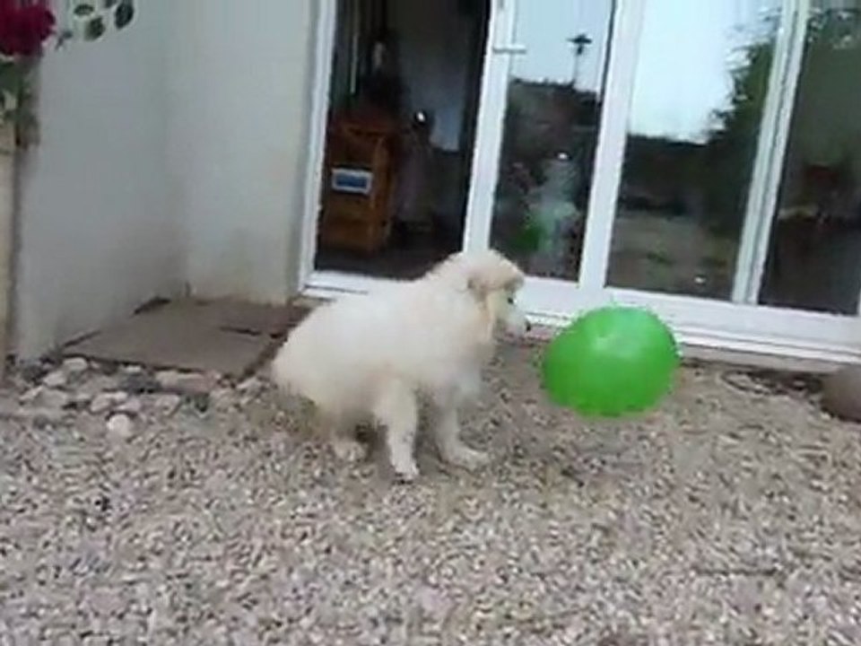 Bébés Daelynn &  Heaven