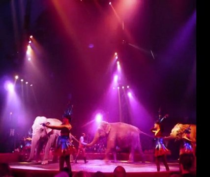 Mesdames et Messieurs, le grand spectacle va commencer...!!!