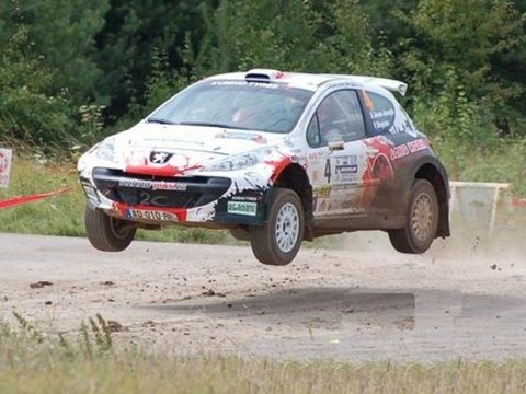 Rallye Terre de Langres 2011