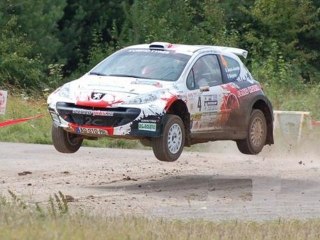 Rallye Terre de Langres 2011