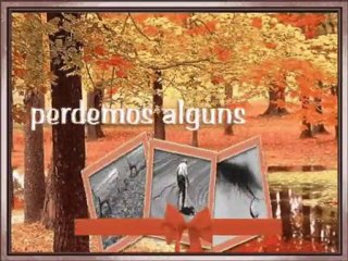 Amigos são como folhas de uma arvore