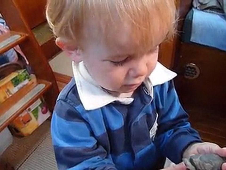 B connait les oiseaux