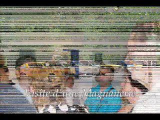 Rassemblement amicale R15 R17 Ardèche 2011