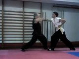 Aplicaciones de las técnicas básicas de puño, Choy Li Fut