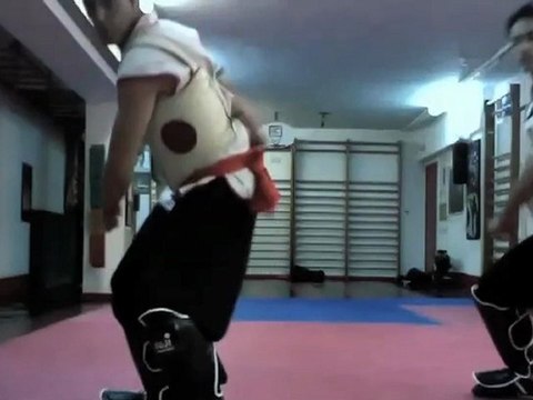 Técnicas de combate, Choy Li Fut