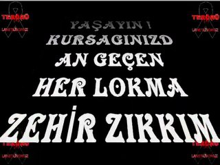 VATANI BÖLMEK İSTEYENLERE VE PKK LI İTLERE BEDDUAMIZDIR.