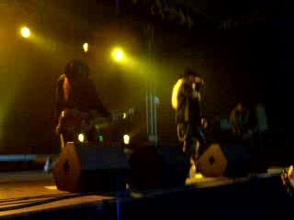 elusive waregem 2006