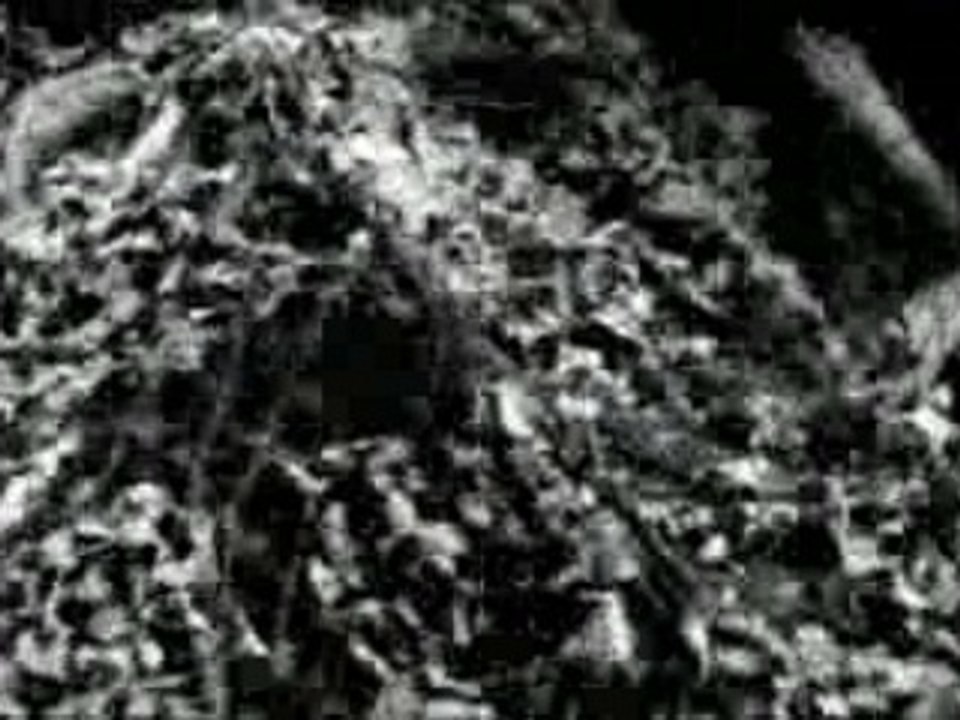 Pantera - Mouth For War