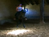 Galienne Tonka et le cheval Guapo, répétition des Folies-Cheval 2011 - Le Cheval Bavard