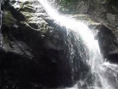 YALOVA ÇINARCIK ERİKLİ ŞELALESİ