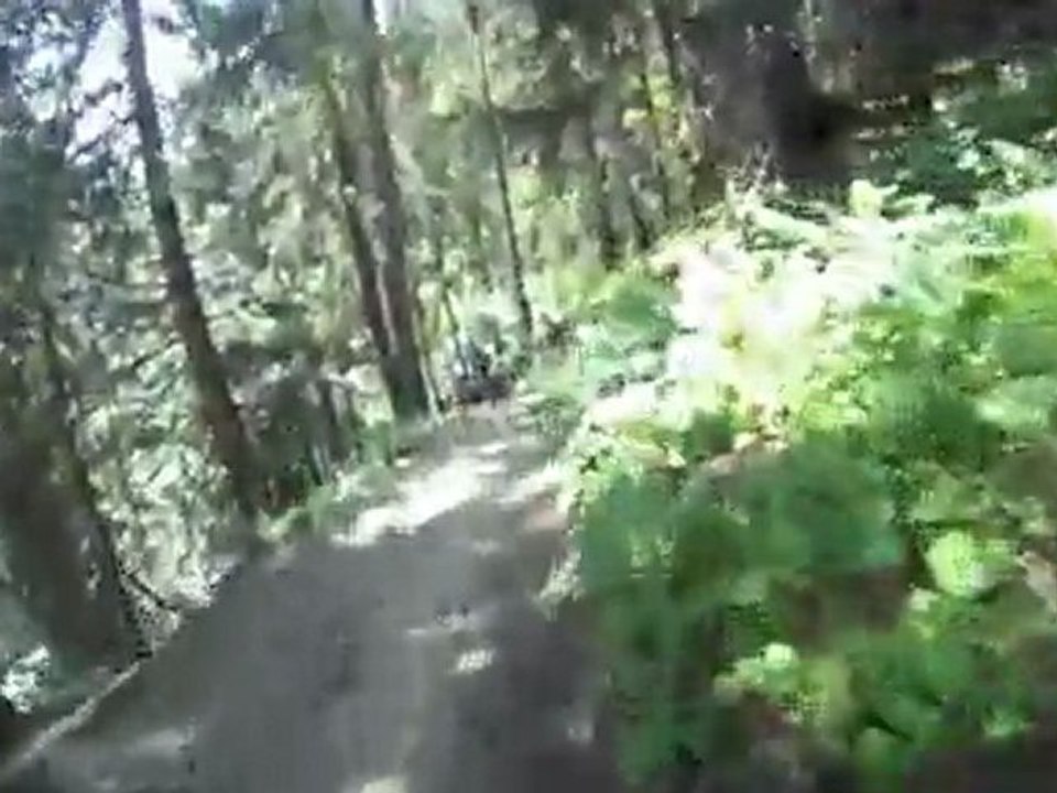 VTT Châtel : Serpentine