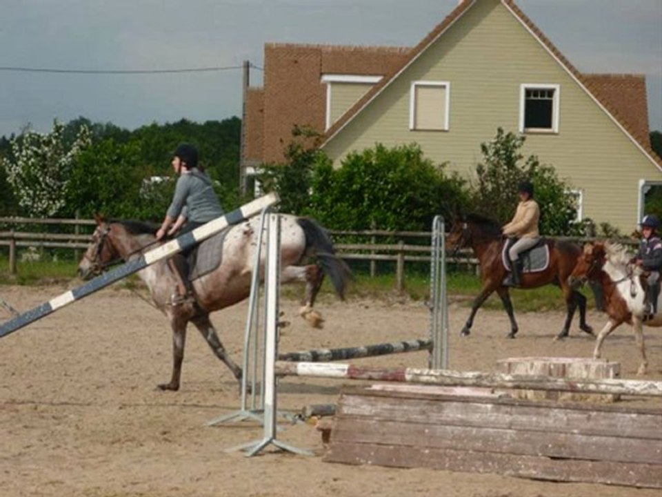 saut d'obstacle nunuche