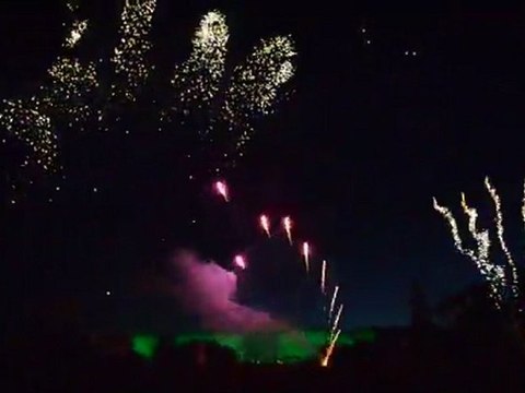 Promenades musicales Compiègne 02.07 (1)