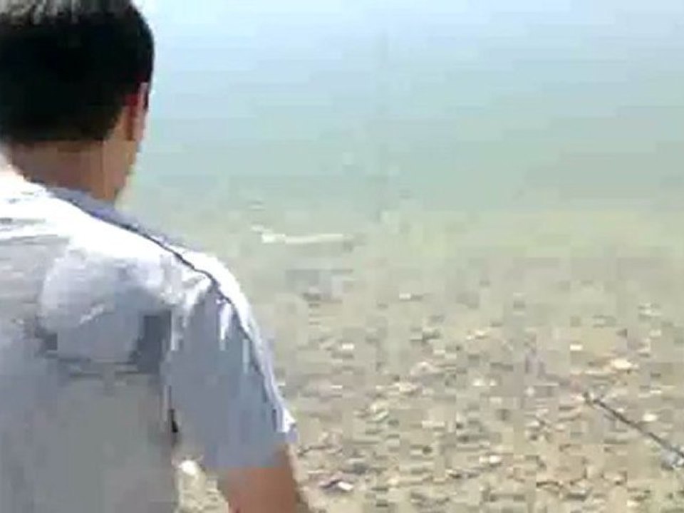 Çamlıdere aynalı sazan avı