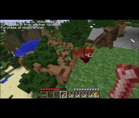 Minecraft with 9 Mods: Enhance Your Experience