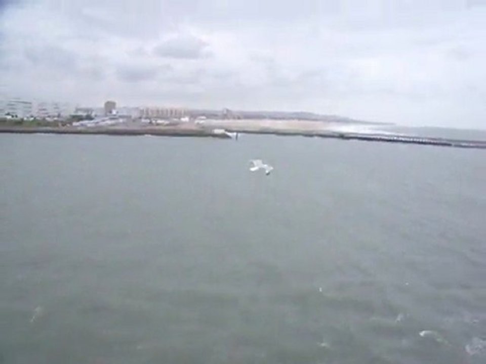 DSCF0118