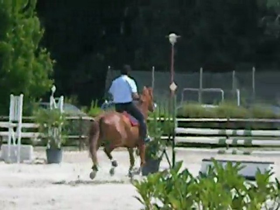 cso Brazey-en-plaine Amateur Elite