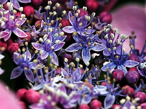 Sebebi yoktur Kara kaleminin Şiir ve yorum Nevin Işık