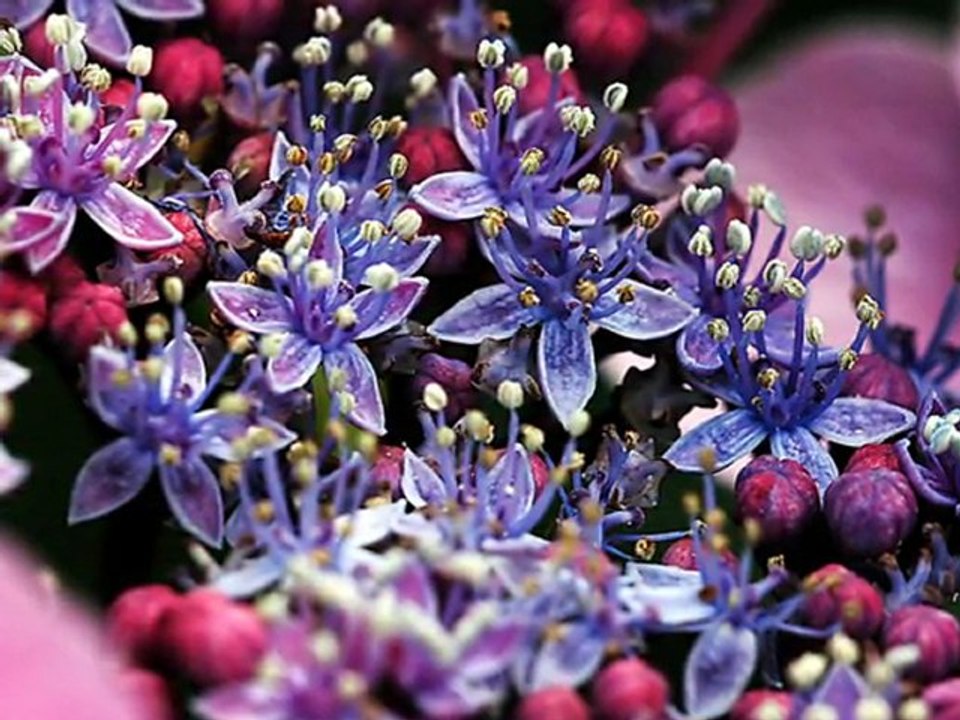 Sebebi yoktur Kara kaleminin Şiir ve yorum Nevin Işık