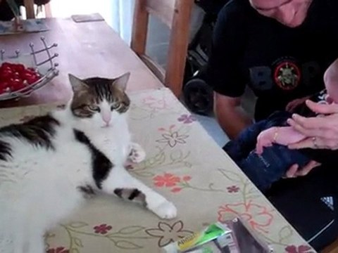 1er contact avec Elliott