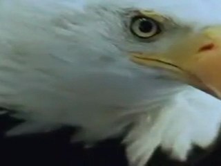 When the lights go out