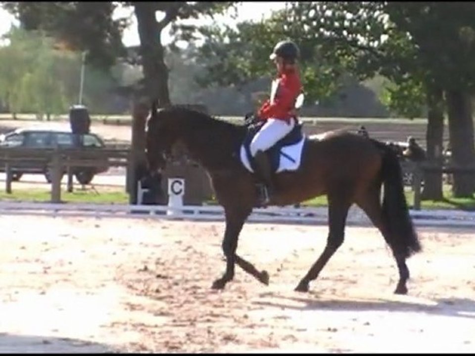 Kentucky CCE Fontainebleau Juillet 2011