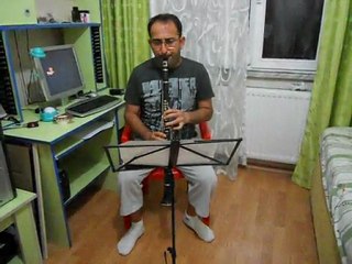 bahçede yeşil çınar