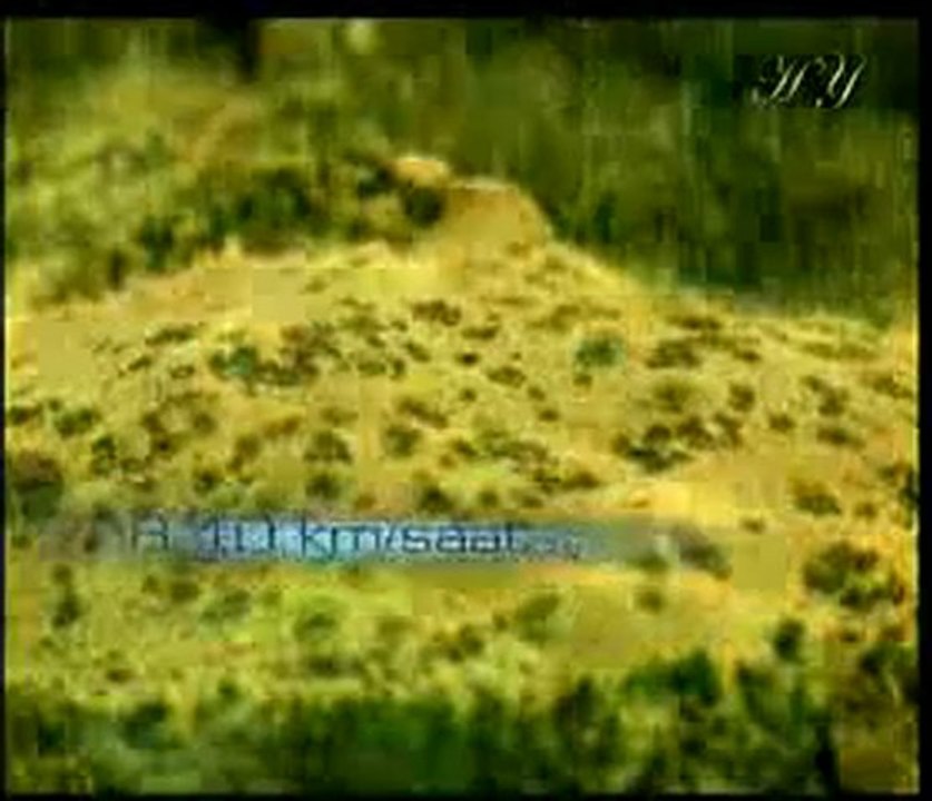 Allah'ın Rahman ve Rahim sıfatlarının dünya hayatındaki tecellileri