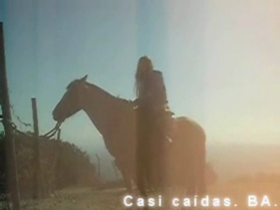 casicaidas