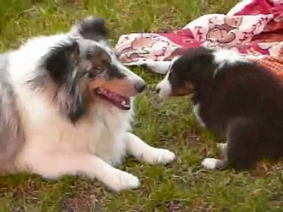 Gaîa et les autres, sortie au jardin 5 semaines_0001