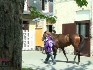 PRIX ROTHSCHILD 2011 : Goldikova bat tous les records