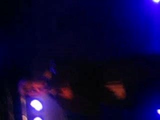 Lacrimosa why are you so stupid