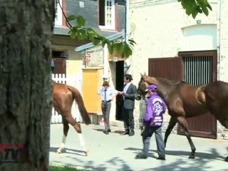 PRIX ROTHSCHILD 2011 : Goldikova bat tous les records