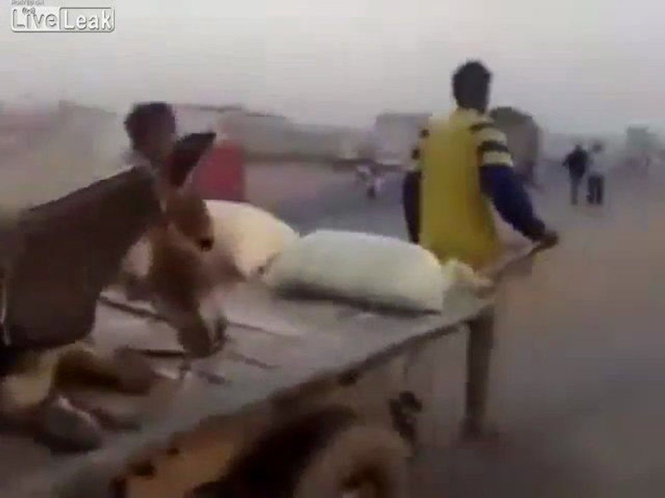 Donkey Cart Fail!