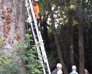 Terrasse du Val Druel 2011