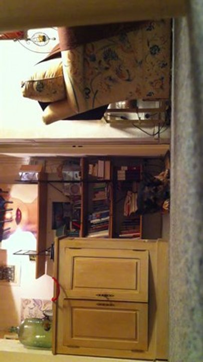 Dressage berger allemand REX, Pas bouger !