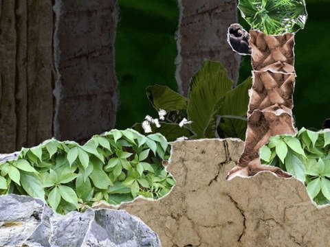 (Découverte) And Yet It Moves (PC HD)