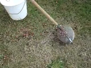 Fındık Toplama Aleti